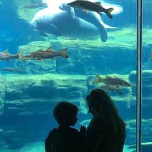 Meet your Posher, Dana